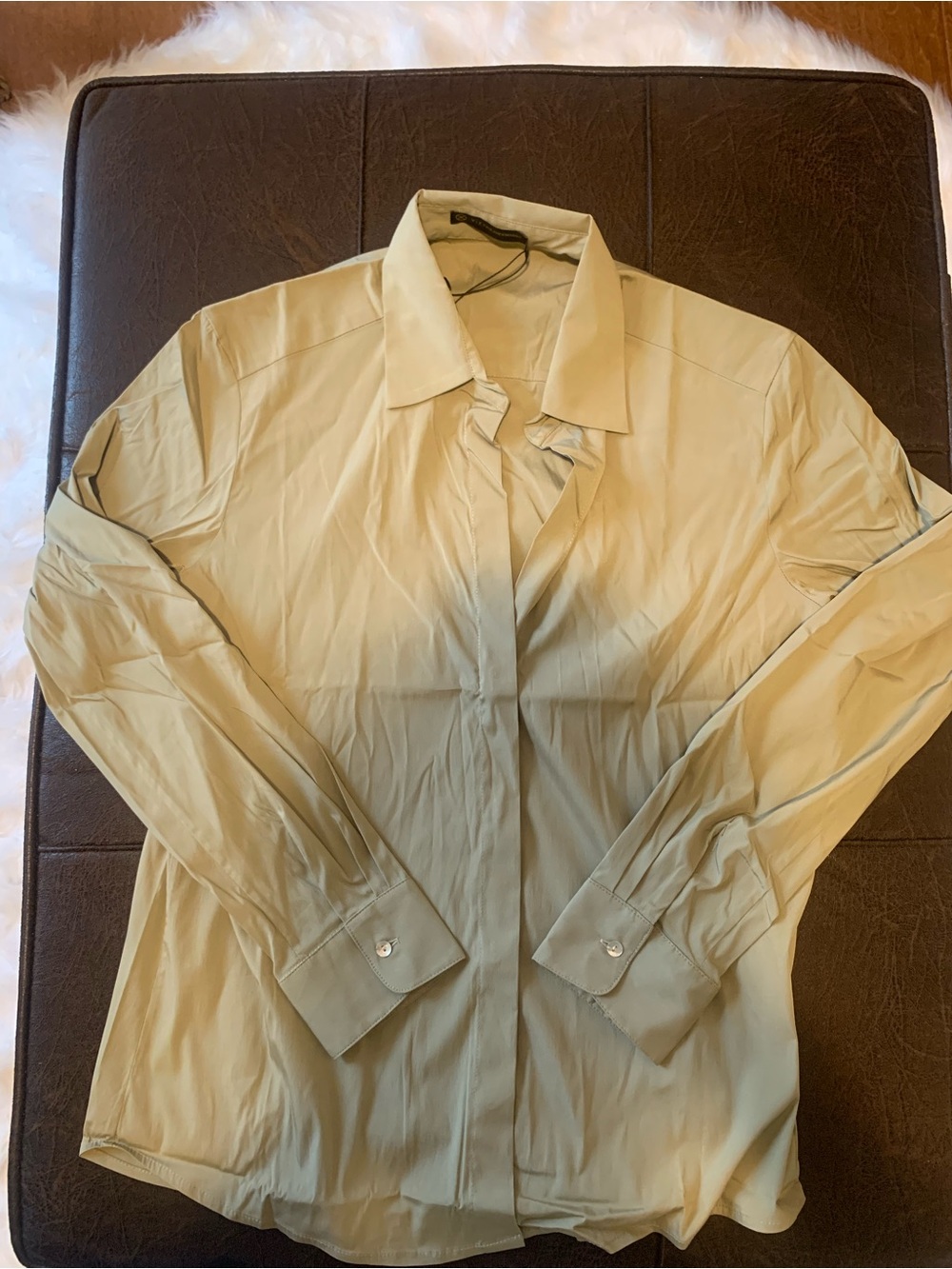 Classic Women's Button-Down Shirt in Light Olive